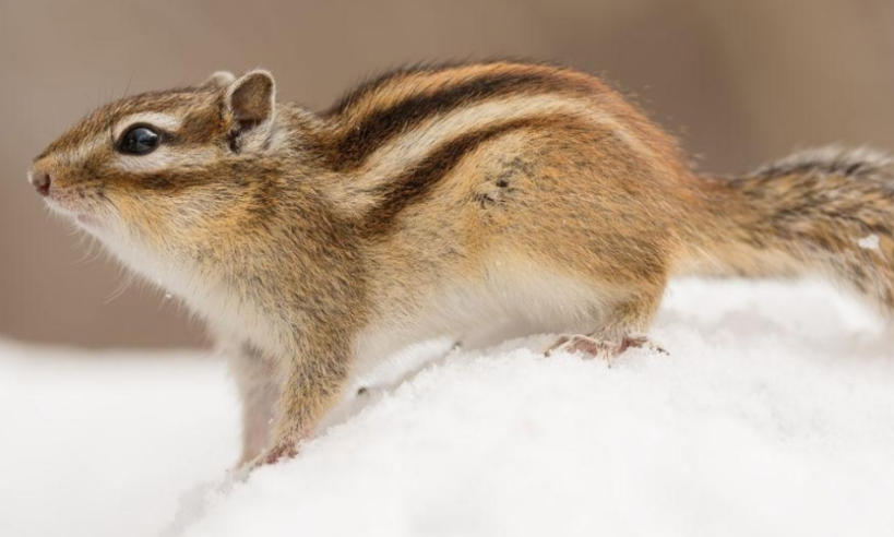 厦门豫盛实业有限公司轮播图1