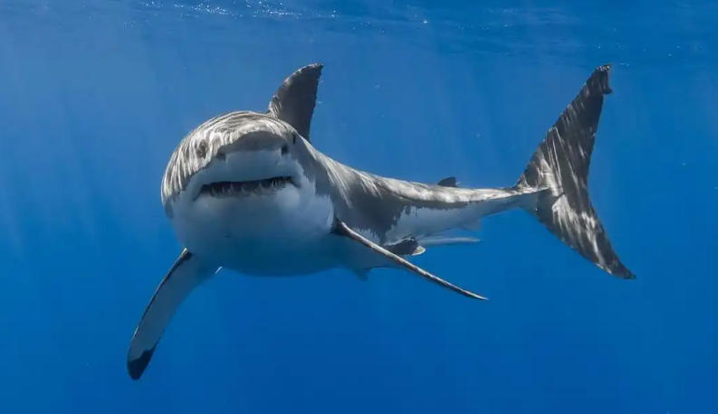 厦门豫盛实业有限公司轮播图4